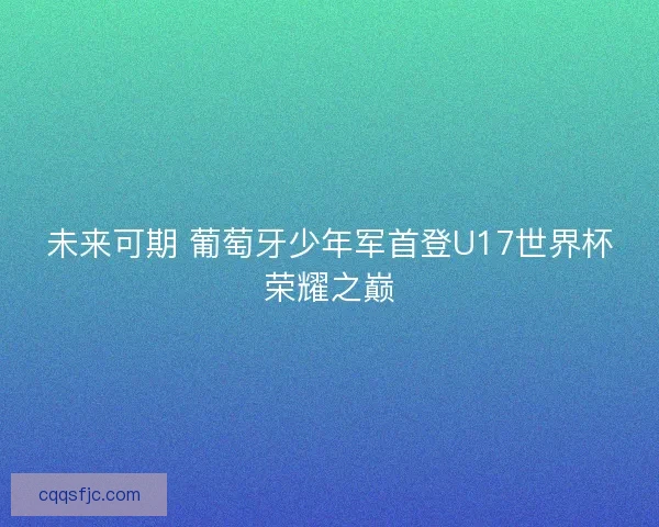 未来可期 葡萄牙少年军首登U17世界杯荣耀之巅